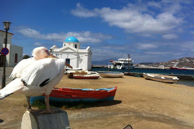 Private Tour: Mykonos Island in Half a Day - Beaches and the archaeological viewpoint, with Kalo Livadi as the payoff