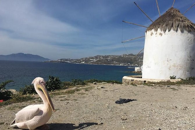 Private Tour: Mykonos Island in Half a Day - Value and practicalities: what’s included, what to budget