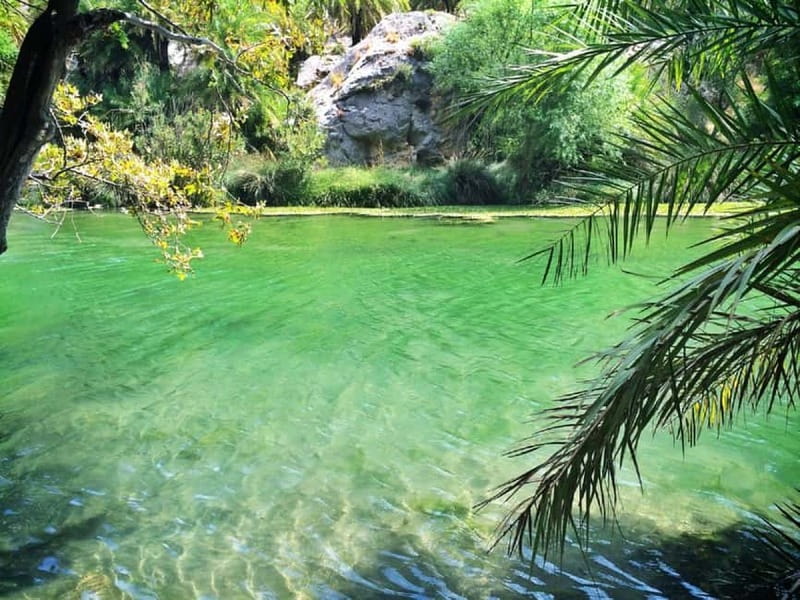 Rethymno/Chania: Preveli Beach and Kourtaliotiko Gorge Tour - Preveli Beach and the Palm Forest: Where You Actually Feel the Place