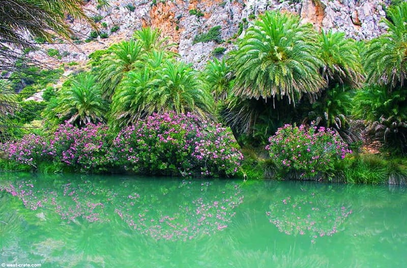 Rethymno/Chania: Preveli Beach and Kourtaliotiko Gorge Tour - Timing, Group Energy, and What Can Feel Rushed
