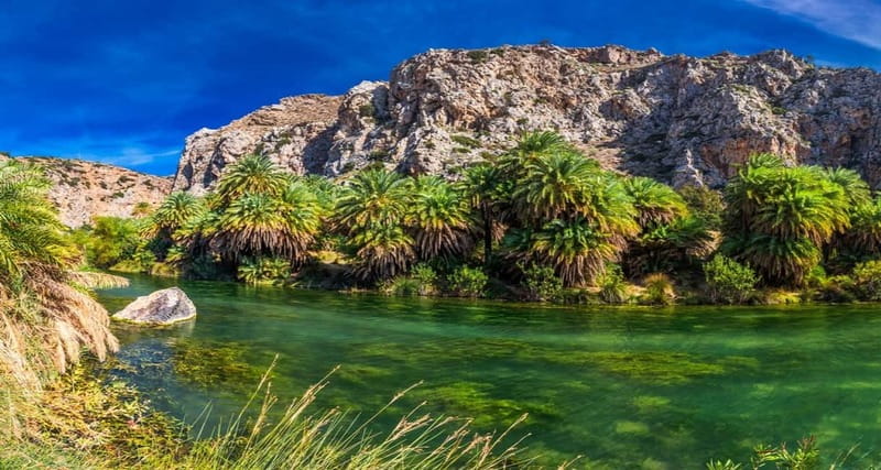 Rethymno/Chania: Preveli Beach and Kourtaliotiko Gorge Tour - Price and What You Really Pay for on This Day