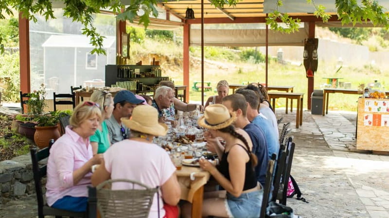 Rethymno: Full-Day Land Rover Safari to Preveli - The off-road viewpoints and Kourtaliotiko gorge: quick scenic hits