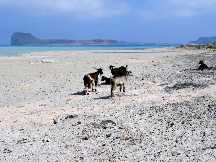 Rethymno: Gramvousa & Balos Lagoon Day Trip with Boat Ticket - Gramvousa Fortress visit, views plus manageable walking