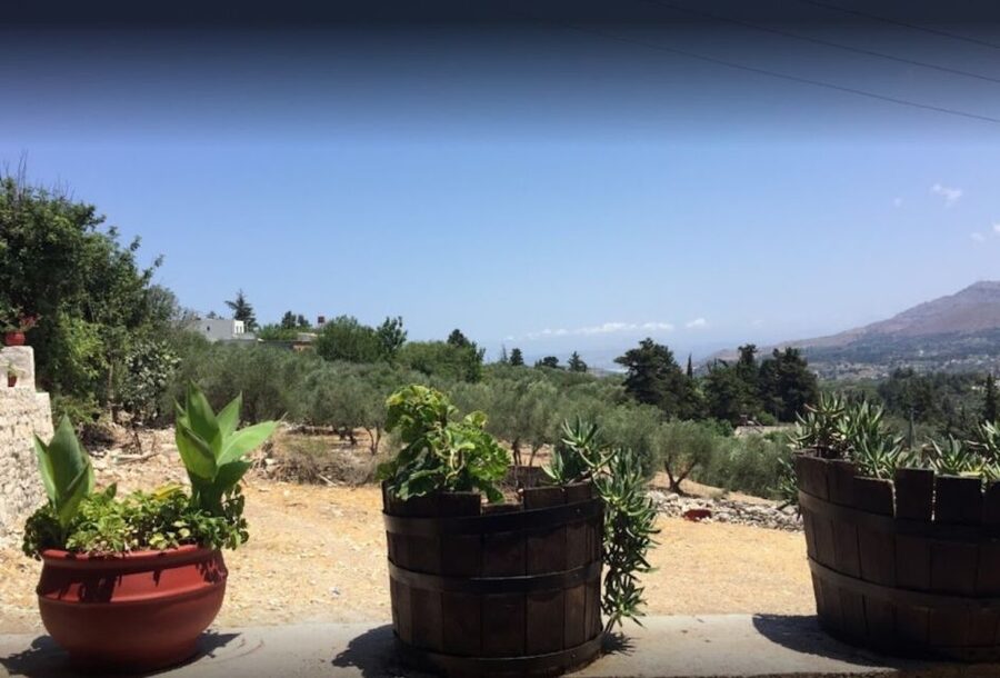 Rethymno: Private Winery & Olive Oil Tasting Tour with Lunch - The 5-Hour Timeline From Rethymno Pickup to Village Lunch