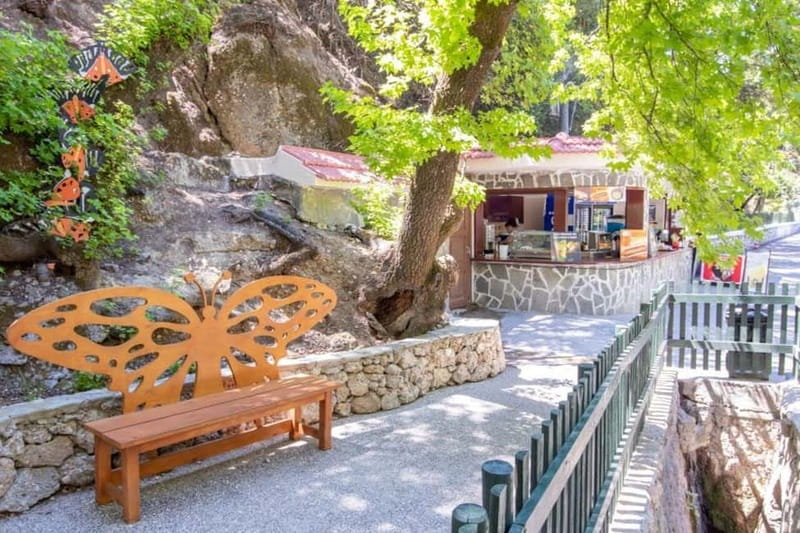 Rhodes: Butterfly Valley and Filerimos Hill Bus Trip - Museum of Natural History: when it’s worth the extra money