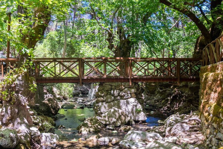 Rhodes: Butterfly Valley and Seven Springs Valley Day Trip - Butterflies and season reality: when Petaloudes is at its best