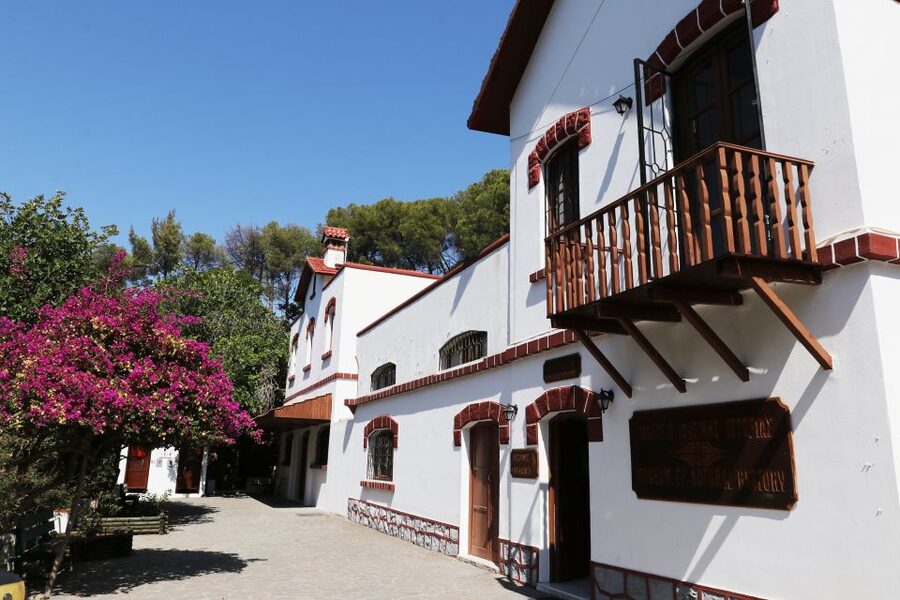 Rhodes: Butterfly Valley and Seven Springs Valley Day Trip - What to pack and how hard is the walking