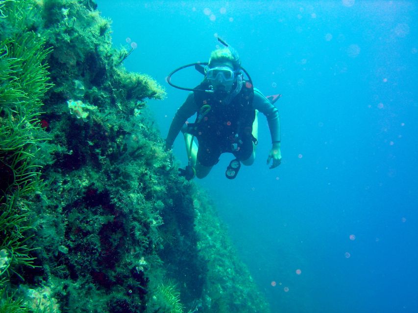 Rhodes: Diving Adventure for Beginners and Experts - Quick Hits Before You Go
