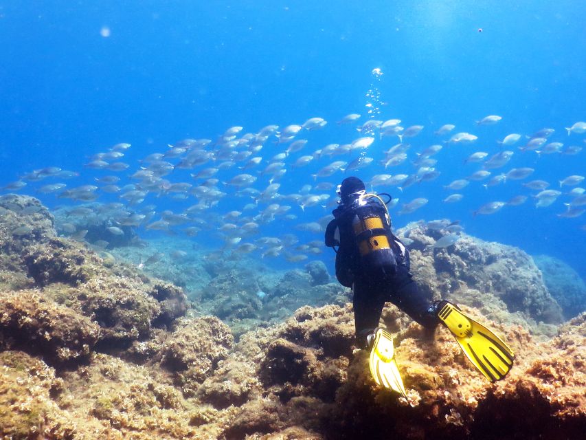 Rhodes: Diving Adventure for Beginners and Experts - A Rhodes Scuba Day That Works for Both Newbies and Returning Swimmers