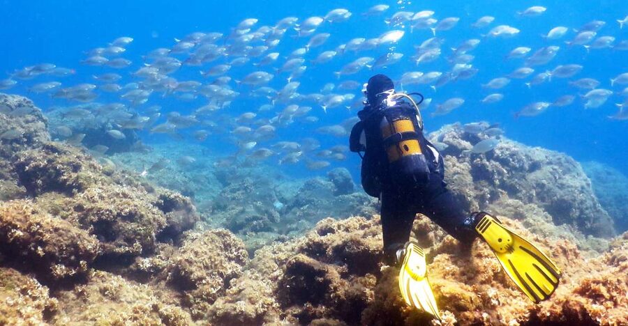 Rhodes: Diving Adventure for Beginners and Experts - From Mandraki Harbour to Kalithea: How Your Time Gets Filled