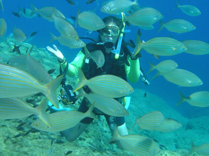 Rhodes: Diving Adventure for Beginners and Experts - Small Group Setup, and Why It Changes Everything
