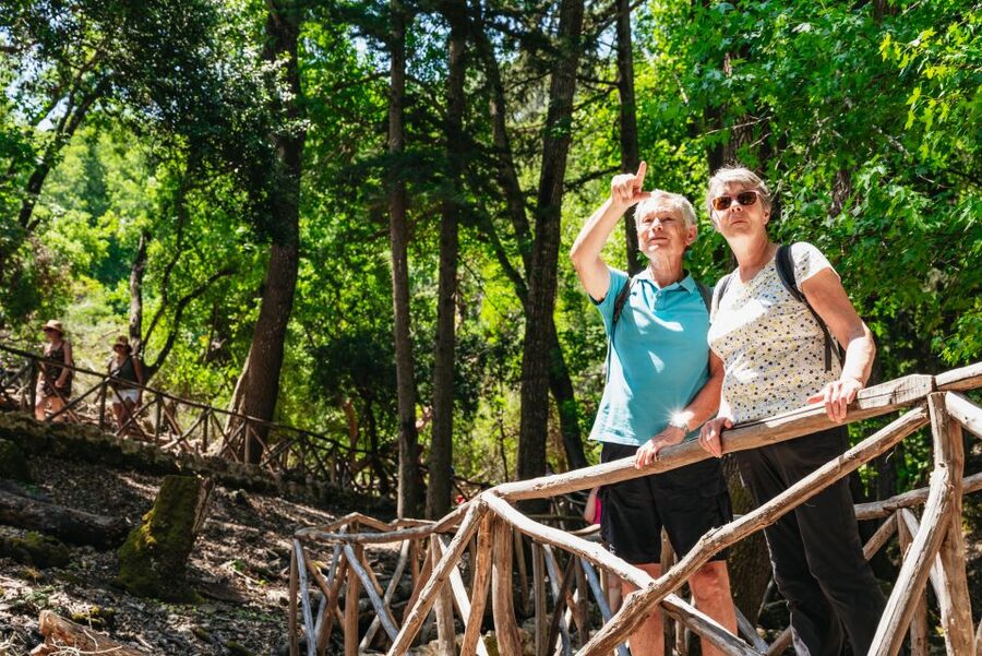 Rhodes: Filerimos Hill and Butterfly Valley Bus Trip - Price and value: what $31 covers and what costs extra