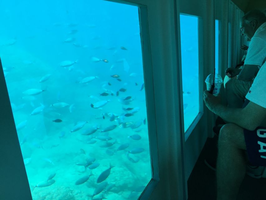Rhodes: Hop-on Hop-off Bus and Submarine Tour - Price and Value: Is $41 Fair for This Rhodes Combo?