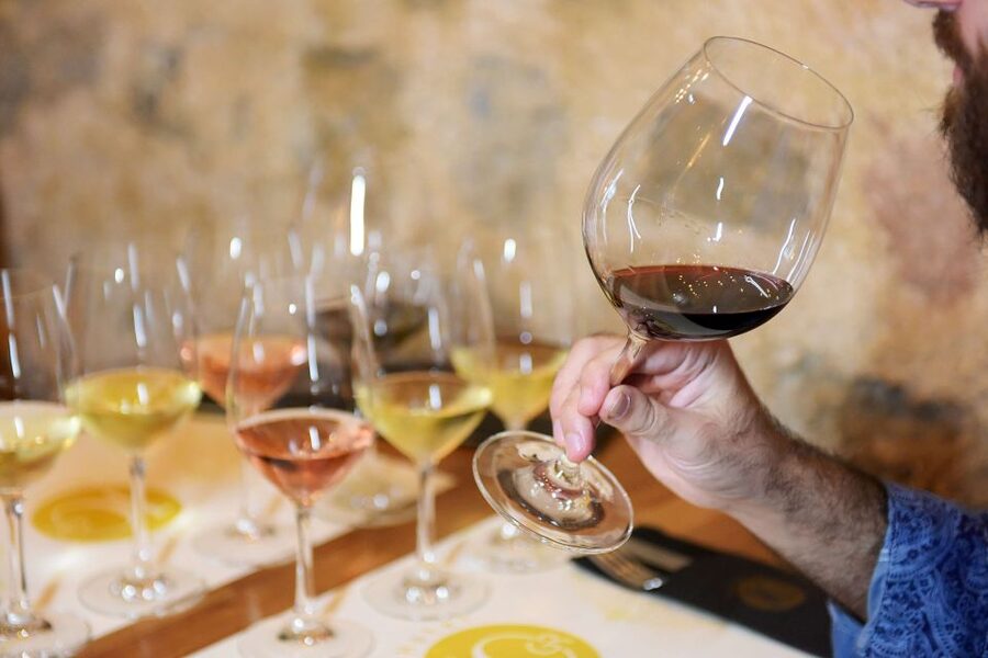 Rhodes: Private Wine Tasting Experience for Beginners - How the sommelier teaches tasting, not just sipping