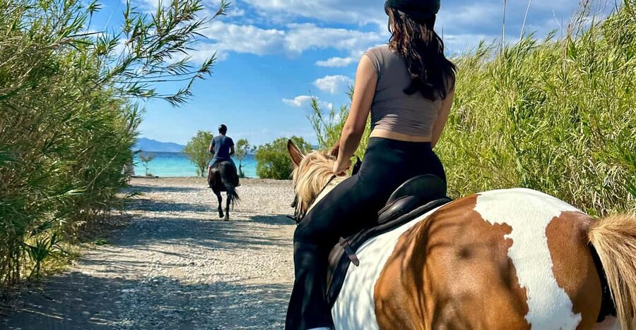 Rhodes: Seaside Horseback Riding Experience - The 1-hour rhythm: what you’ll actually do from start to finish