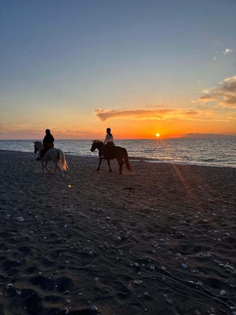 Rhodes: Seaside Horseback Riding Experience - Riding the east coast: what the seaside portion feels like