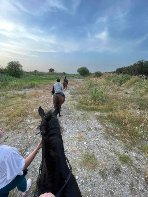 Rhodes: Seaside Horseback Riding Experience - The guide experience: safety, pacing, and photos that actually matter