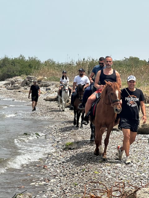 Rhodes: Seaside Horseback Riding Experience - Price and value at about $94 per person