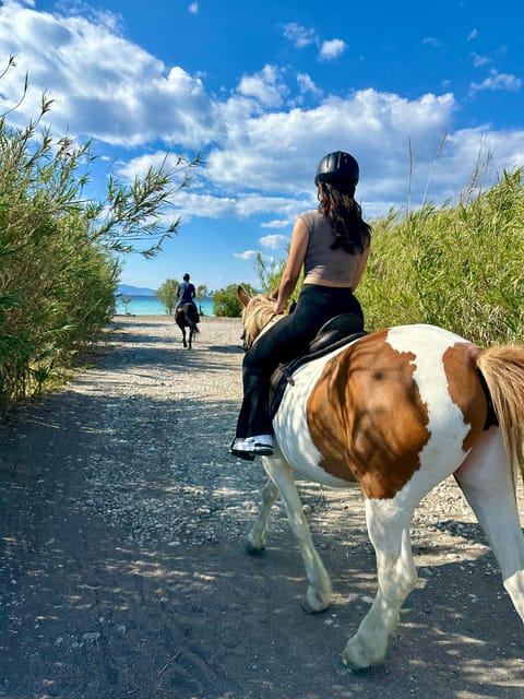 Rhodes: Seaside Horseback Riding Experience - Who this seaside ride suits best (and who should skip it)