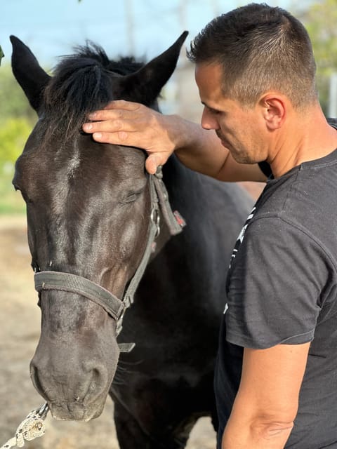 Rhodes: Seaside Horseback Riding Experience - Getting there smoothly: transfers and what to plan for