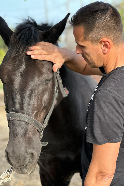 Rhodes: Seaside Horseback Riding Experience - My take: the best reasons to book this Rhodes horseback ride