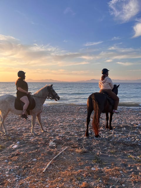 Rhodes: Seaside Horseback Riding Experience - Meeting your horse: calm temperaments and real guidance