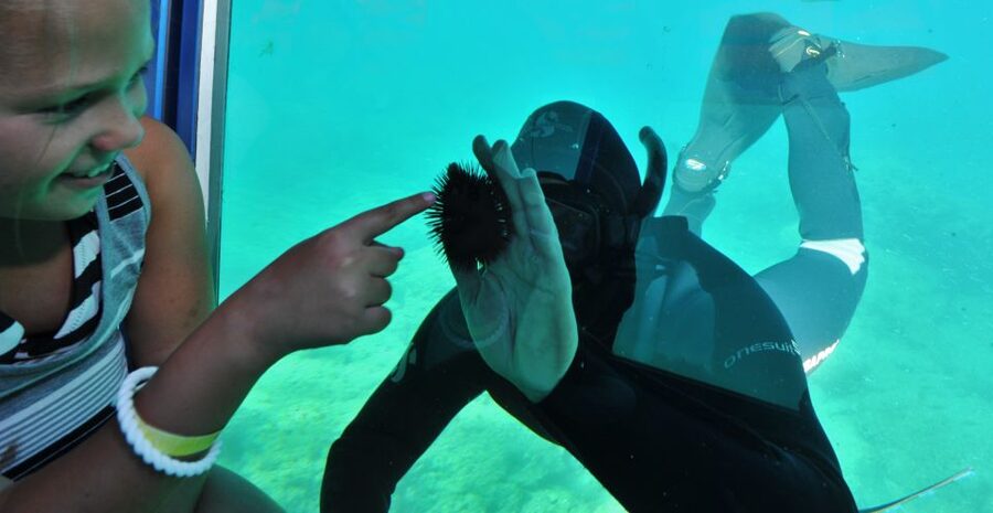 Rhodes Town: Yellow Submarine Cruise with Underwater Views - Key highlights worth your attention