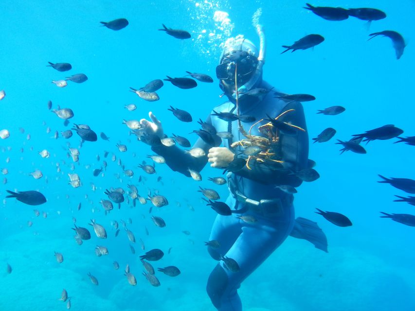 Rhodes Town: Yellow Submarine Cruise with Underwater Views - A 45-minute cruise that feels like a sea aquarium