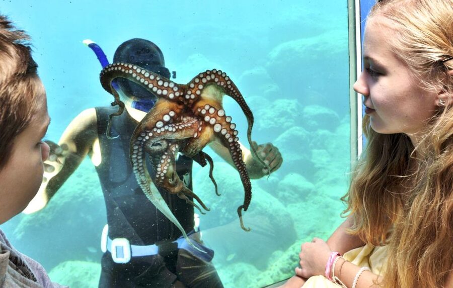 Rhodes Town: Yellow Submarine Cruise with Underwater Views - Mandraki Harbour to Rhodes Old Town: the views you get along the way
