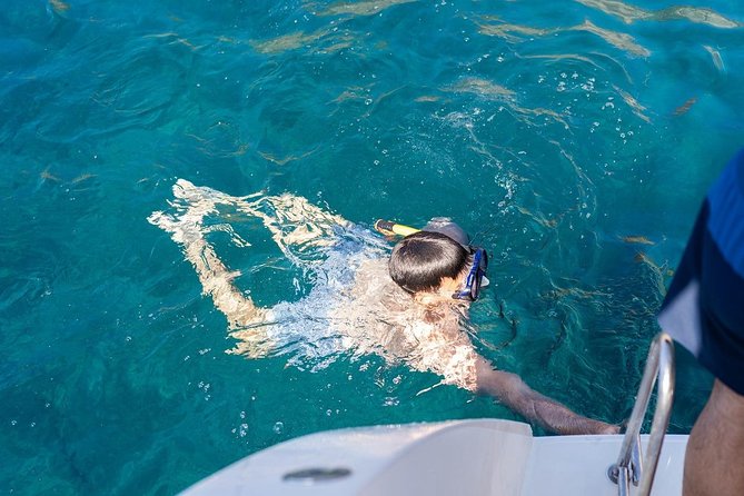 Santorini Adventurous Catamaran Experience with Snorkeling - Price and value: what $116.14 covers, and why it can make sense