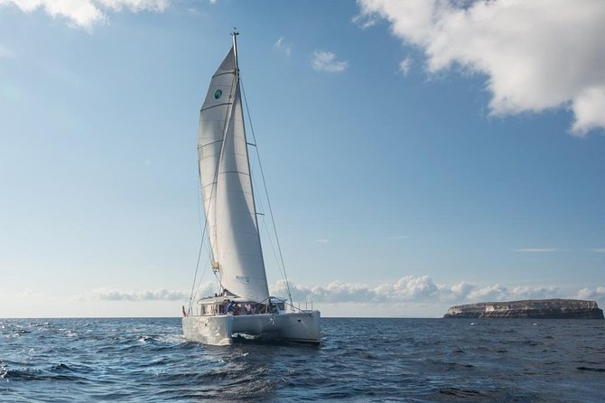 Santorini Caldera Sailing Tour with BBQ Lunch and Drinks - BBQ Lunch on a Moving Boat: Seafood, Steak, Greek Wine, and Unlimited Drinks