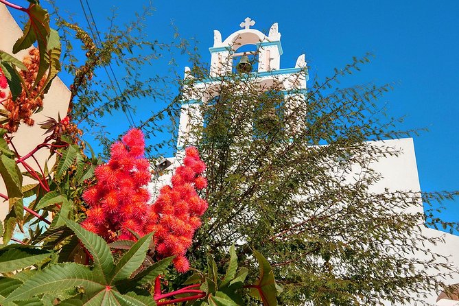 Santorini Day Tour with Sunset in Oia - Oia Arrival and Sunset Timing: Free Time Means You Need a Plan