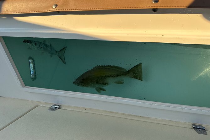 Santorini Fishing Private Cruise boat tour - BBQ, Snorkeling - The Private Vibe: Music, Photos, and Time to Actually Relax