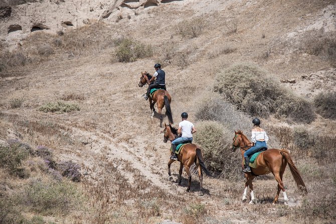Santorini Horse Riding to Black Sandy Beach - A Quick Reality Check on Weather and Possible Snags