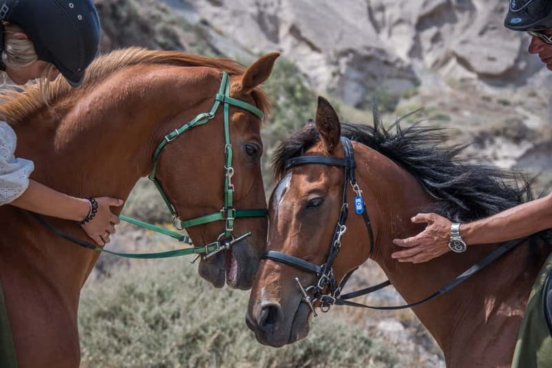 Santorini: Horse Riding Trip to Black Sandy Beach - Horses, safety, and the guide team behind it
