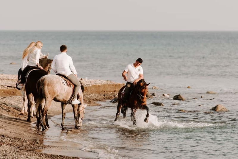 Santorini: Horseback Riding on the Black Sandy Eros Beach - Who This Santorini Horseback Tour Is Best For