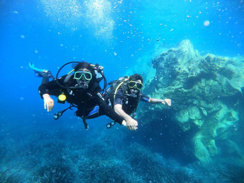 Santorini: Scuba Diving Experience in Caldera for Beginners - Marine Life You Can Actually See on a First Session