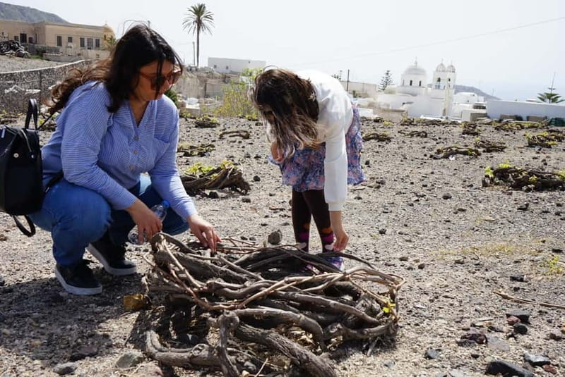 Santorini: Small Group Sightseeing Tour with a Local Guide - Who this tour suits, and where it may not fit