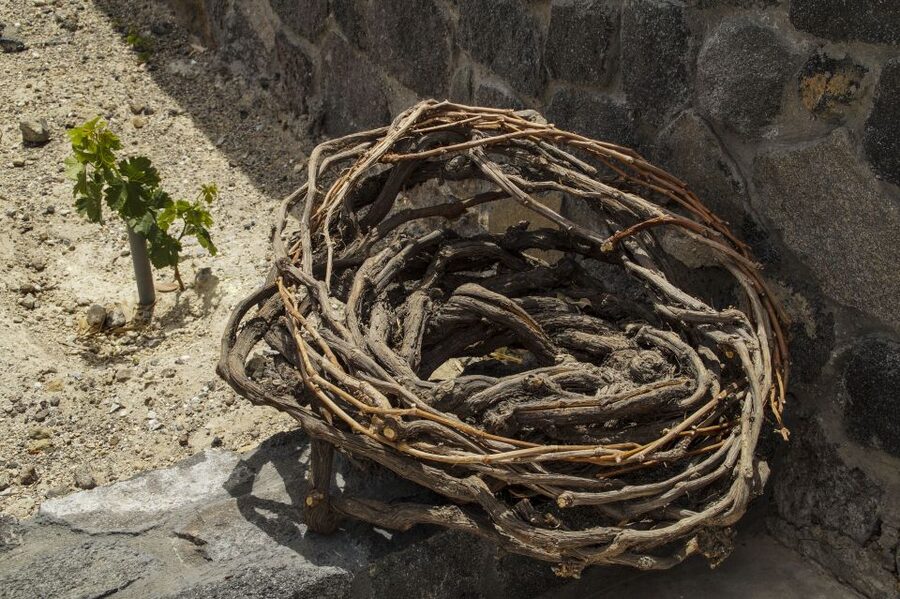 Santorini: Three Wineries and One Brewery Tour with Tastings - Who This Tour Suits Best (and Who Should Pass)
