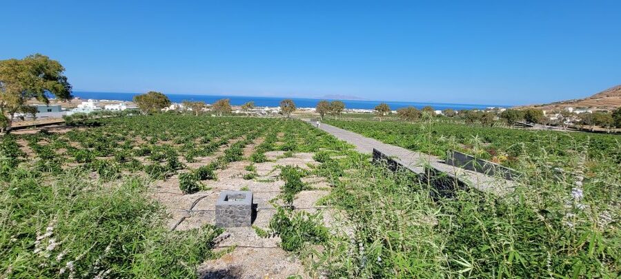 Santorini: Three Wineries and One Brewery Tour with Tastings - Art Space in Exo Gonia: Where the Setting Helps You Understand the Wine