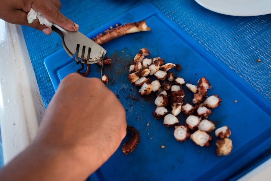Santorini: Traditional Fishing Trip and Fresh Fish Lunch - Key things that make this trip click