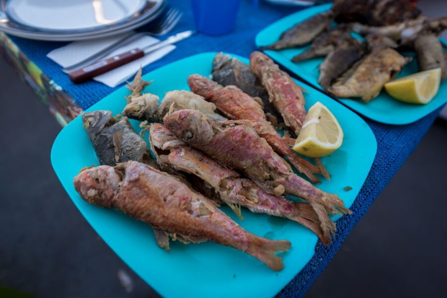 Santorini: Traditional Fishing Trip and Fresh Fish Lunch - Price and value for a 4-hour small-group fishing day