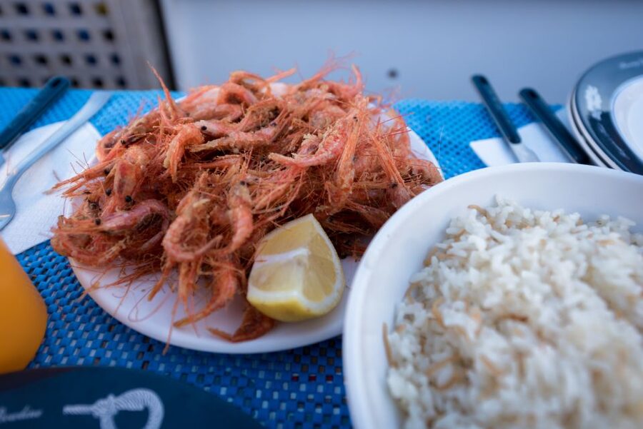 Santorini: Traditional Fishing Trip and Fresh Fish Lunch - From hotel pickup to the harbor, without the hassle