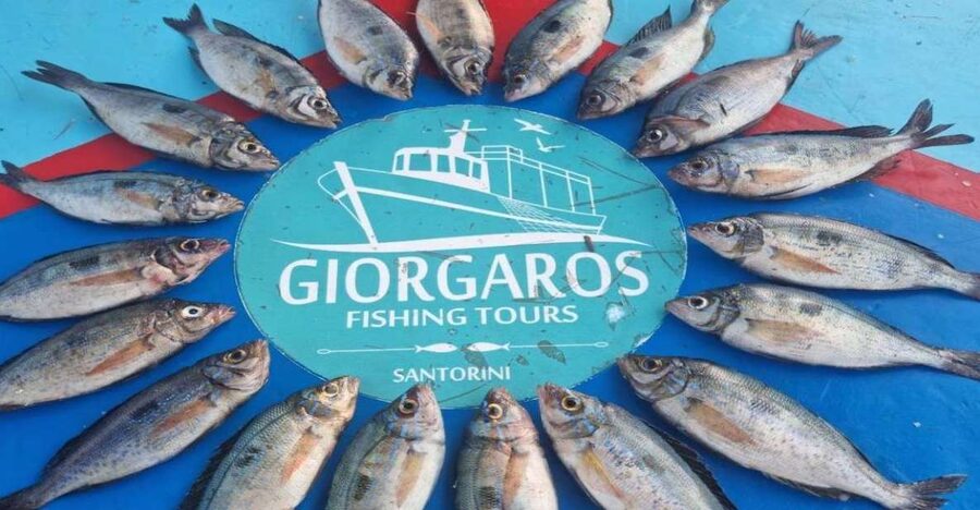 Santorini: Traditional Fishing Trip and Fresh Fish Lunch - Where you fish: the Red, White, and Black Beach areas
