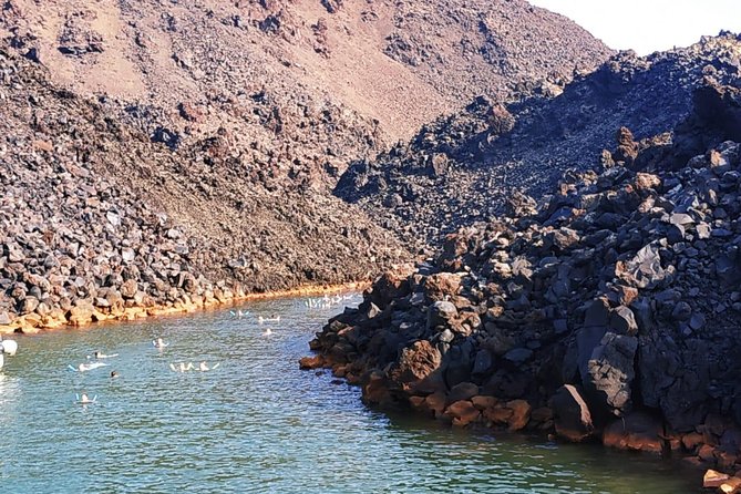Santorini Volcanic Islands Cruise: Volcano, Hot Springs and Thirassia - Walking, water, and who should book this cruise