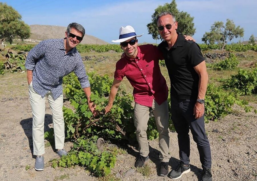 Santorini: Wine Tasting Tour with Snacks - Who this tour is perfect for, and who should skip it