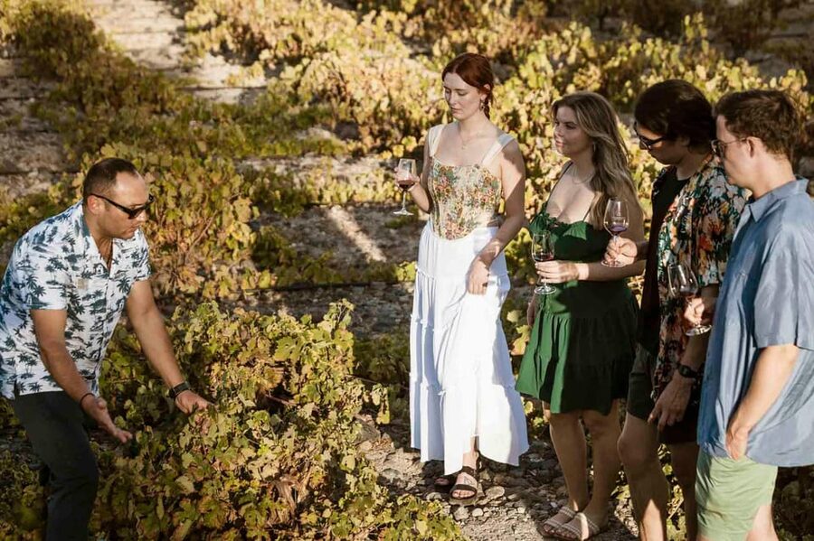 Santorini: Wine Tasting Tour with Snacks - Pickup in Fira, then into the wine rhythm