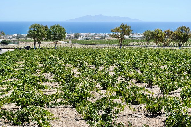 Santorini: Wine Tour with Sunset in Oia - Value for $129: When This Feels Like a Good Deal