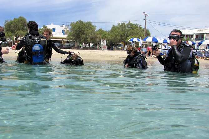 Scuba Diving in Naxos by Bluefindivers - Dive in Greece - Amazing Diving Spots - Agios Prokopios reef: the smart choice for your first scuba session