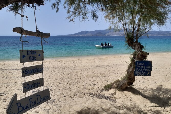 Scuba Diving in Naxos by Bluefindivers - Dive in Greece - Amazing Diving Spots - Marine life you can actually see: what the reef tends to offer